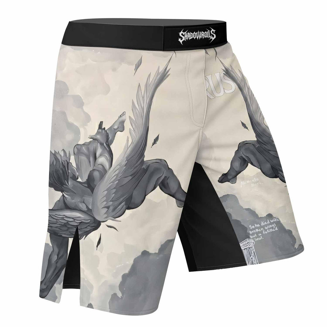 Icarus Too Close To The Sun Fight Shorts - right side mockup