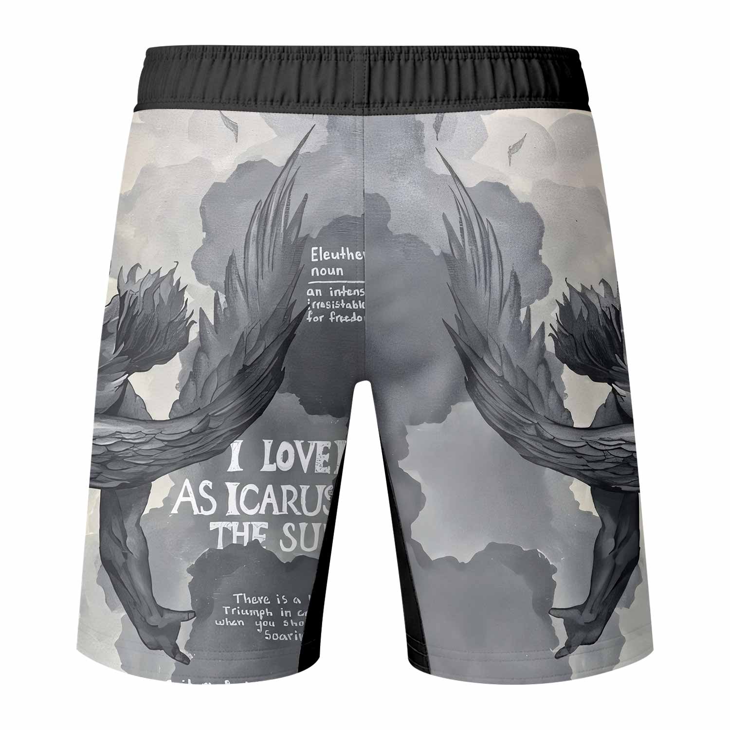Icarus Too Close To The Sun Fight Shorts - back view mockup