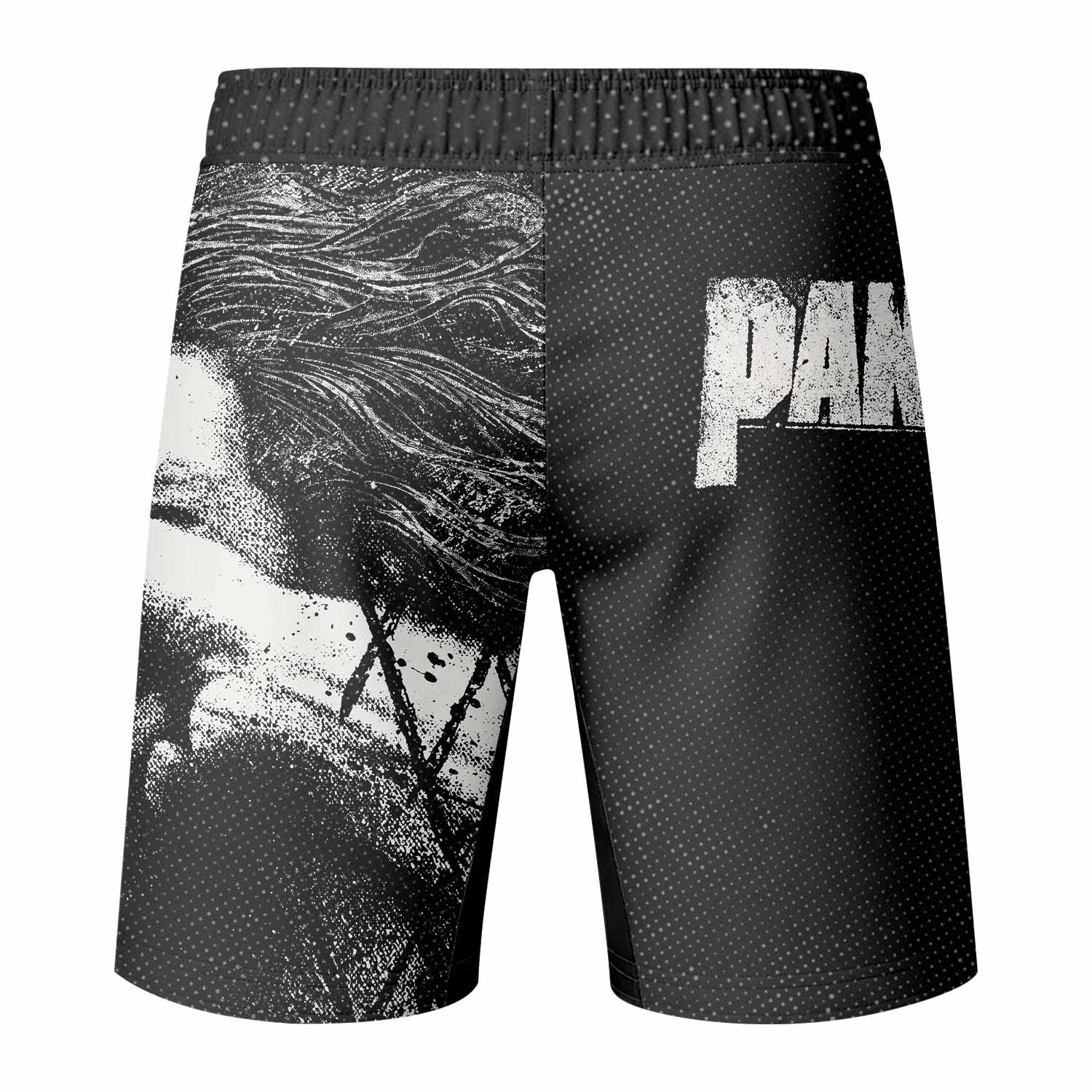 Vulgar Display of Power Pantera Fight Shorts - back view mockup