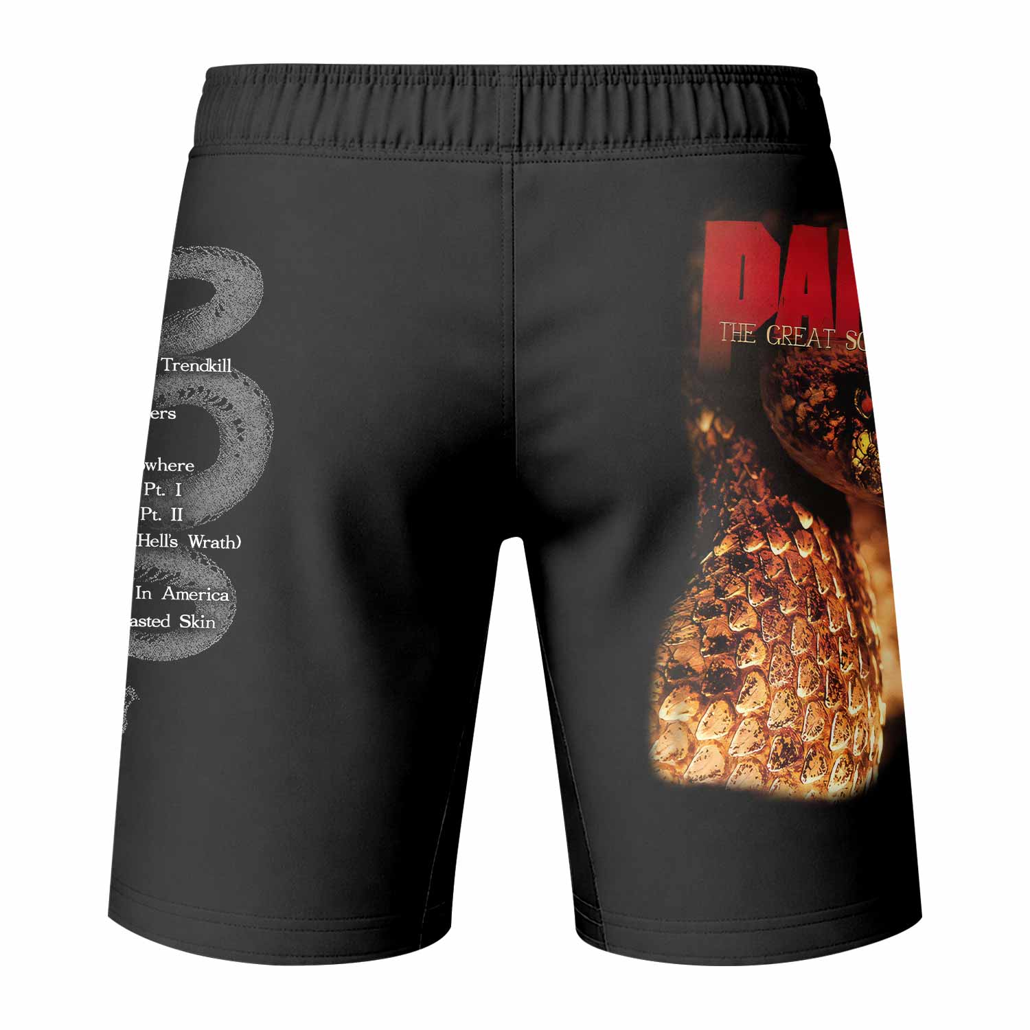 Pantera The Great Southern Trendkill Fight Shorts - back view mockup