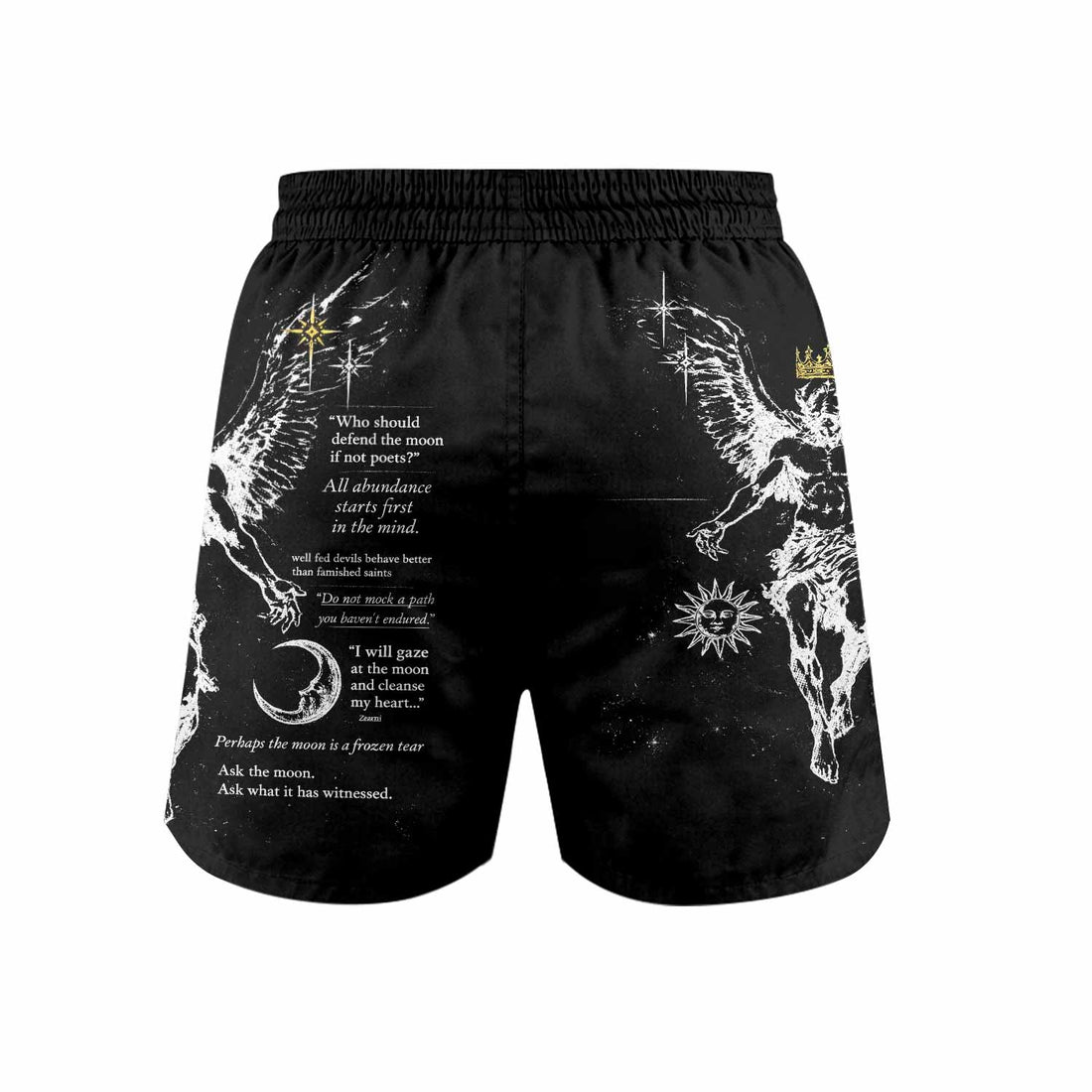 The Messenger Has Arrived Black Grappling Shorts - front and back view