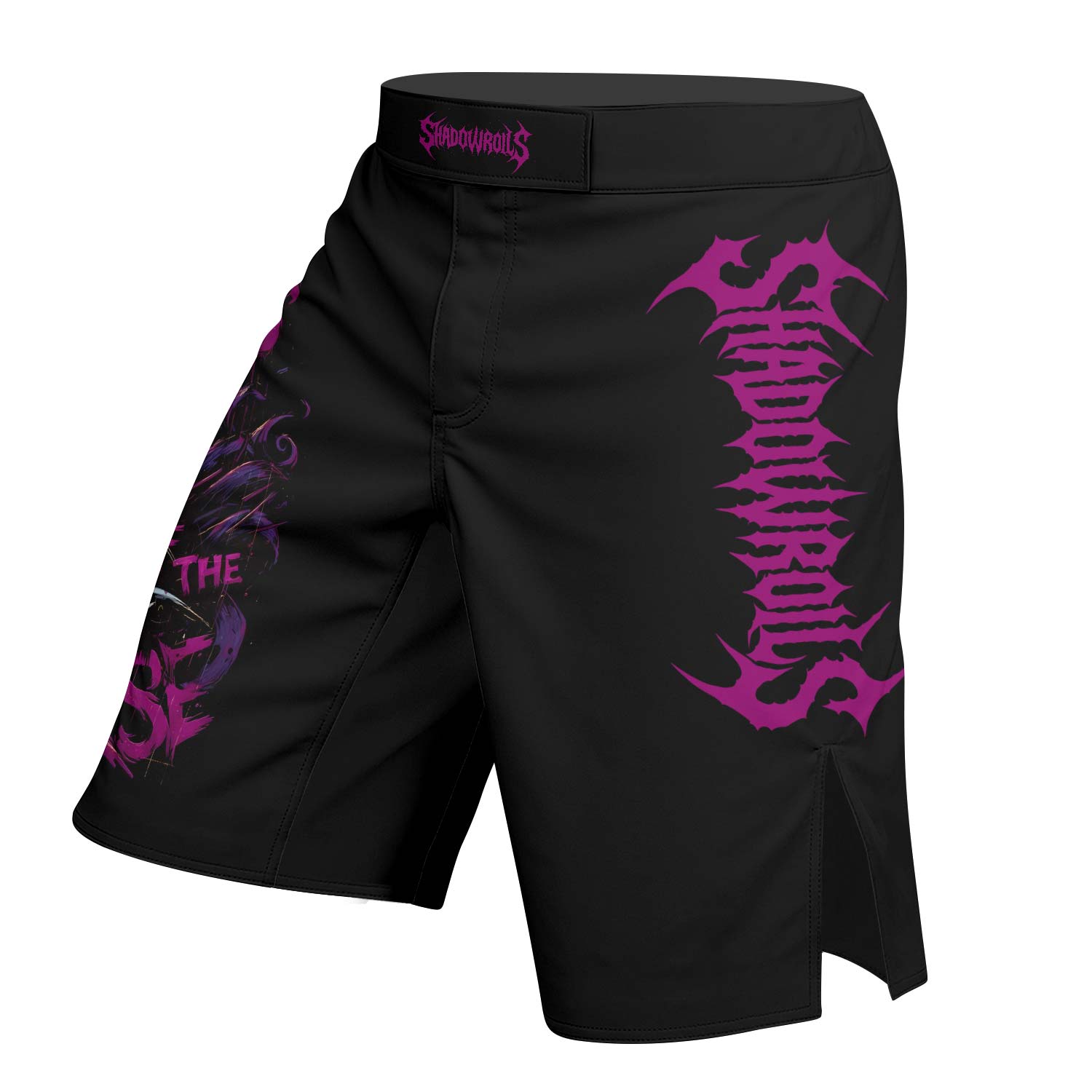 Masters of the Universe Fight Shorts